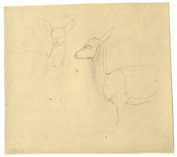 Visualizza l'immagine "FD D 161"